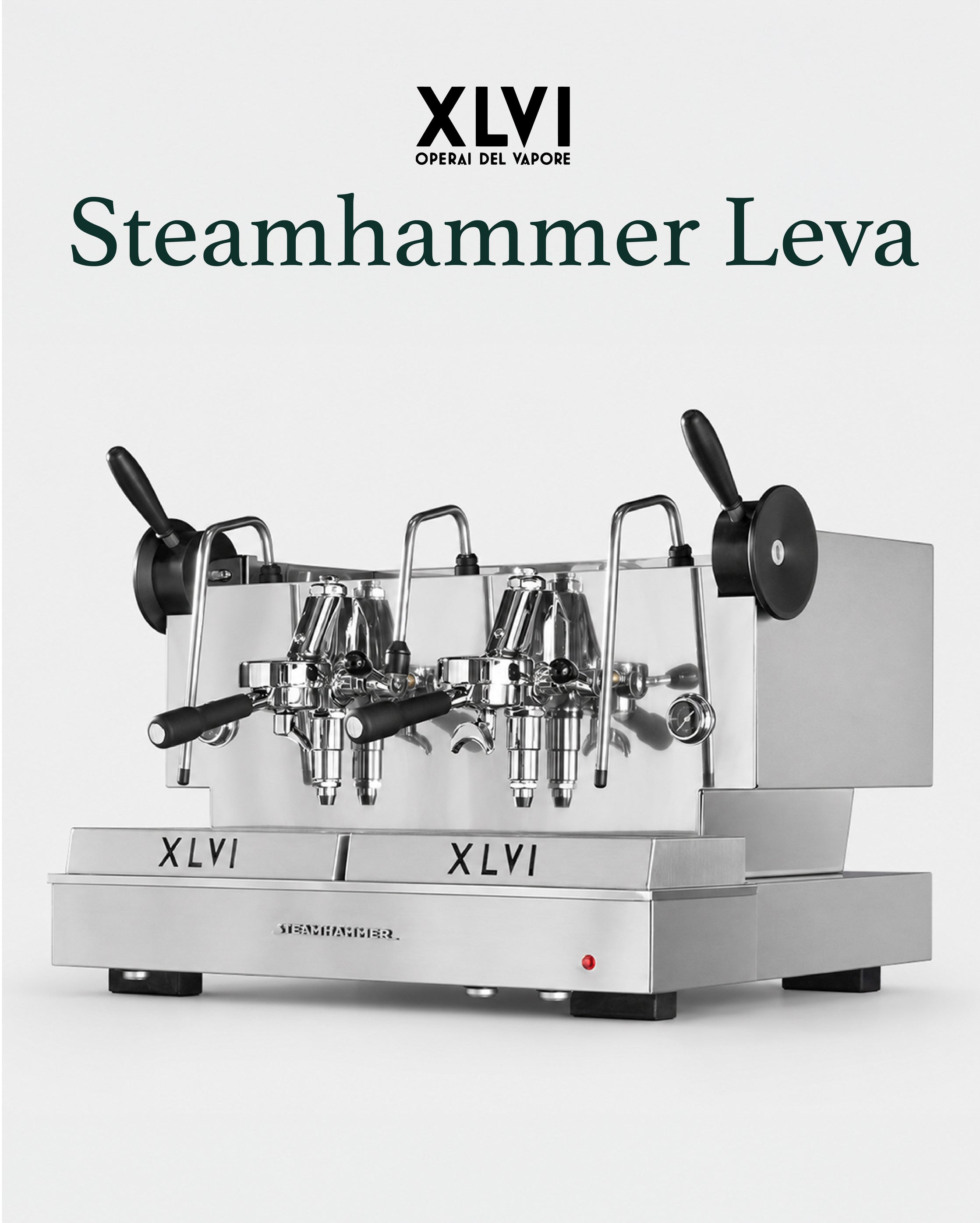 Steamhammer Leva